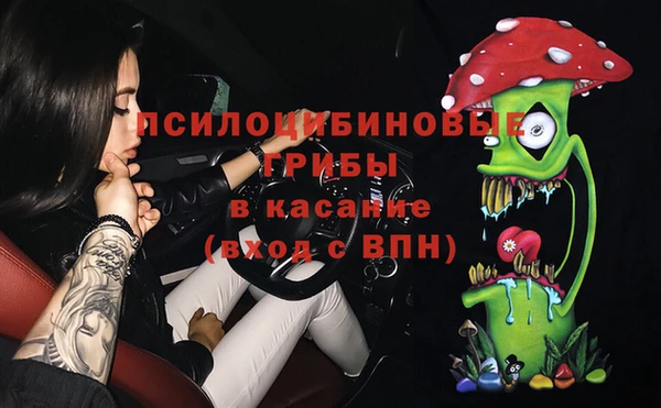 PSILOCYBIN Лиски