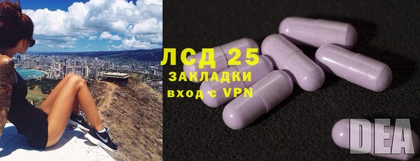PSILOCYBIN Лиски