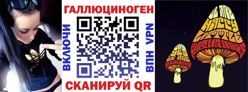 Галлюциногенные грибы Psilocybe  блэк спрут tor  Краснодар  купить наркотики цена 